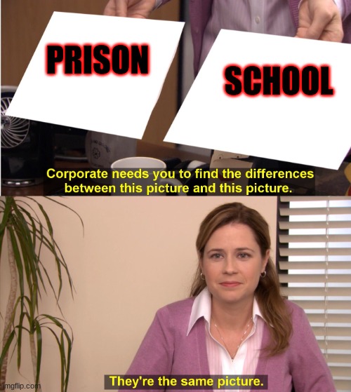 find the difference between | SCHOOL; PRISON | image tagged in find the difference between | made w/ Imgflip meme maker