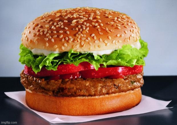burger | image tagged in veggie burger no heart disease,burger,meme,funny | made w/ Imgflip meme maker