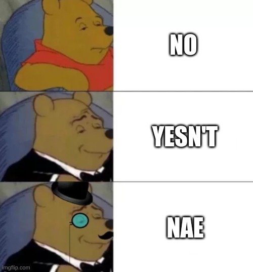 Fancy pooh | NO; YESN'T; NAE | image tagged in fancy pooh,lol | made w/ Imgflip meme maker