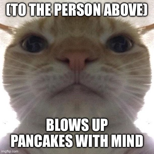 Staring Cat/Gusic | (TO THE PERSON ABOVE); BLOWS UP PANCAKES WITH MIND | image tagged in staring cat/gusic | made w/ Imgflip meme maker