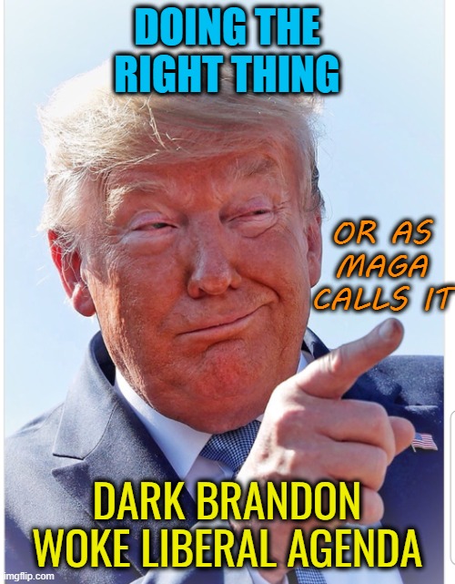 Trump pointing | DOING THE RIGHT THING DARK BRANDON WOKE LIBERAL AGENDA OR AS MAGA CALLS IT | image tagged in trump pointing | made w/ Imgflip meme maker
