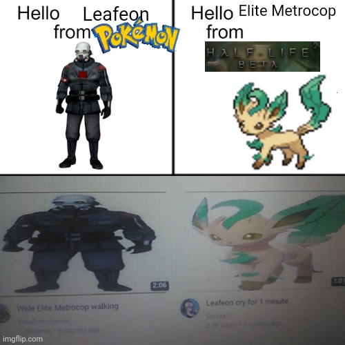 What are the odds I find these videos next to each other. | Elite Metrocop; Leafeon | image tagged in hello person from,pokemon,half life,hl2,wide putin | made w/ Imgflip meme maker
