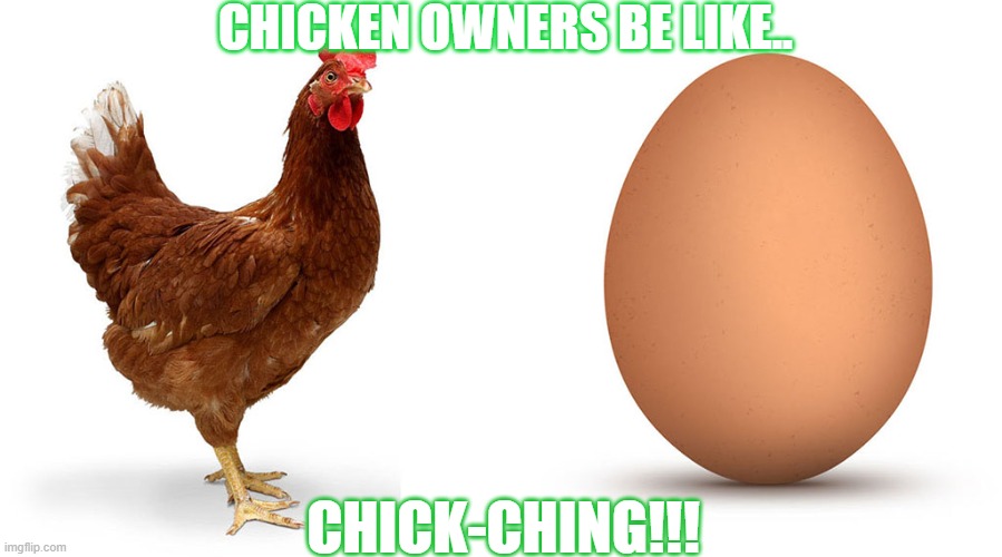 Chicken and egg | CHICKEN OWNERS BE LIKE.. CHICK-CHING!!! | image tagged in chicken and egg | made w/ Imgflip meme maker