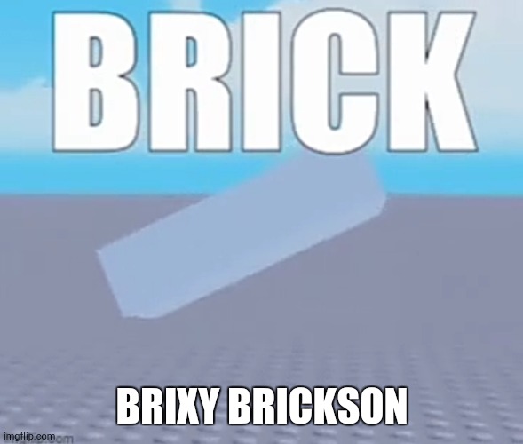 brick | BRIXY BRICKSON | image tagged in brick | made w/ Imgflip meme maker