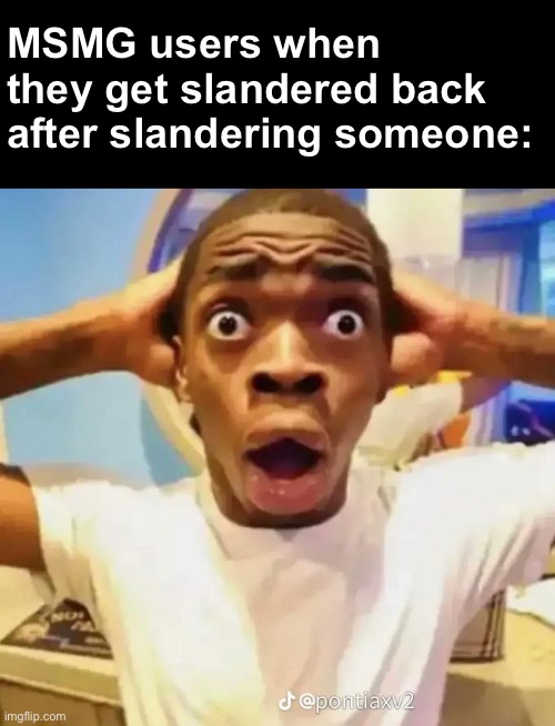 Shocked black guy | MSMG users when they get slandered back after slandering someone: | image tagged in shocked black guy | made w/ Imgflip meme maker
