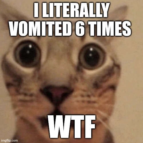 Domestic short-haired cat | I LITERALLY VOMITED 6 TIMES; WTF | image tagged in domestic short-haired cat | made w/ Imgflip meme maker