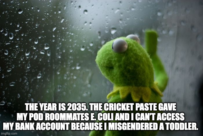 kermit window | THE YEAR IS 2035. THE CRICKET PASTE GAVE MY POD ROOMMATES E. COLI AND I CAN’T ACCESS MY BANK ACCOUNT BECAUSE I MISGENDERED A TODDLER. | image tagged in kermit window | made w/ Imgflip meme maker