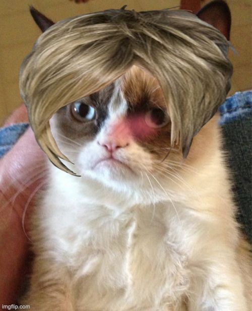 karen cat | image tagged in grumpy cat | made w/ Imgflip meme maker
