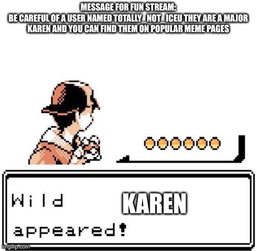 Karen alert | MESSAGE FOR FUN STREAM:
BE CAREFUL OF A USER NAMED TOTALLY_NOT_ICEU THEY ARE A MAJOR KAREN AND YOU CAN FIND THEM ON POPULAR MEME PAGES; KAREN | image tagged in blank wild pokemon appears,fun | made w/ Imgflip meme maker