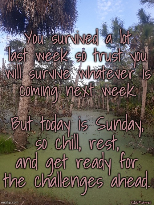 You survived a lot last week so trust you
will survive whatever is
coming next week. But today is Sunday,
so chill, rest, and get ready for the challenges ahead. C&GPictures | made w/ Imgflip meme maker