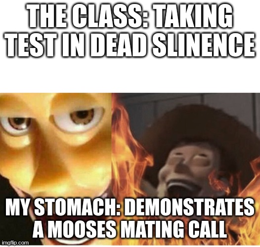 woody just made a moose gf | THE CLASS: TAKING TEST IN DEAD SLINENCE; MY STOMACH: DEMONSTRATES A MOOSES MATING CALL | image tagged in fire woody | made w/ Imgflip meme maker