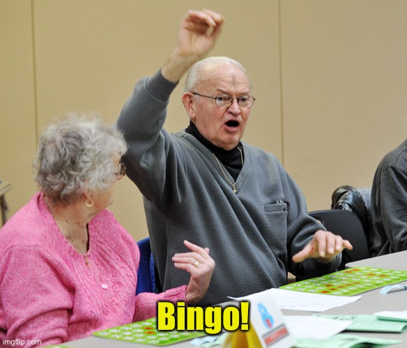 Bingo | Bingo! | image tagged in bingo | made w/ Imgflip meme maker