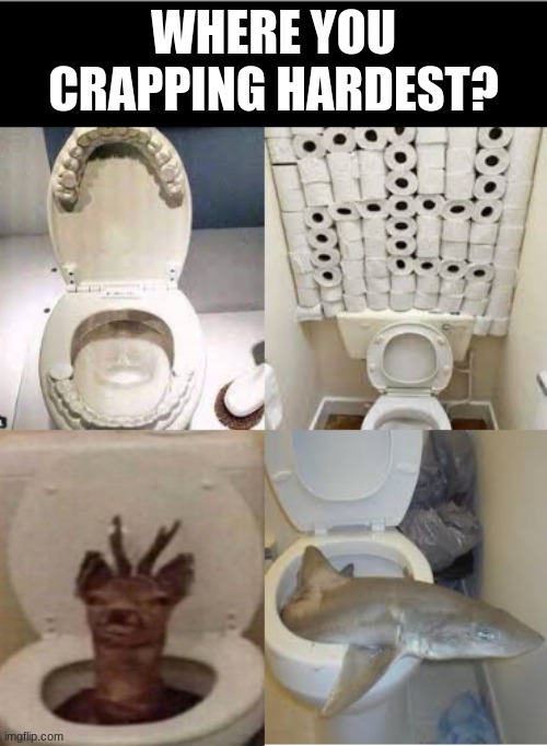 Bro im crapping in the nazi one | WHERE YOU CRAPPING HARDEST? | image tagged in toilets,cursed | made w/ Imgflip meme maker
