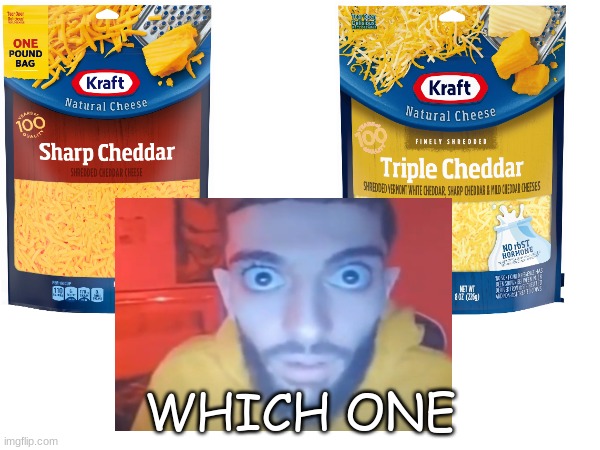 WHICH ONE | made w/ Imgflip meme maker