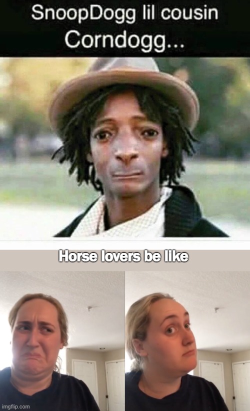 HAS to be a filter :D | Horse lovers be like | image tagged in good bad,funny | made w/ Imgflip meme maker