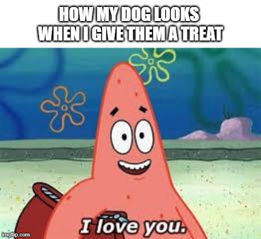 dog patty | HOW MY DOG LOOKS 
WHEN I GIVE THEM A TREAT | image tagged in patrick i love you,patrick,patrick star,dog,funny | made w/ Imgflip meme maker