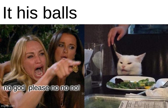 Woman Yelling At Cat Meme | It his balls; no god  please no no no! | image tagged in memes,woman yelling at cat | made w/ Imgflip meme maker