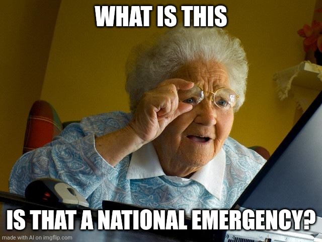 Grandma Finds The Internet | WHAT IS THIS; IS THAT A NATIONAL EMERGENCY? | image tagged in memes,grandma finds the internet | made w/ Imgflip meme maker