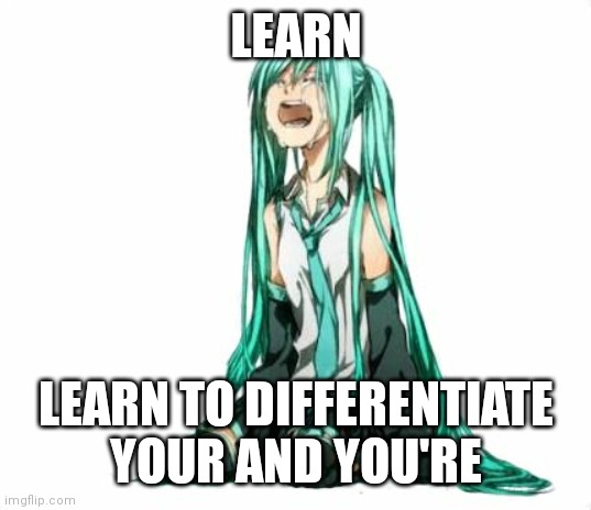 LEARN; LEARN TO DIFFERENTIATE YOUR AND YOU'RE | made w/ Imgflip meme maker