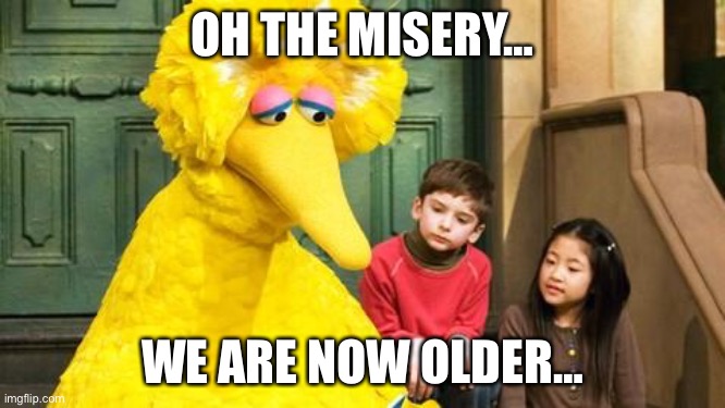 Sad Big Bird | OH THE MISERY… WE ARE NOW OLDER… | image tagged in sad big bird | made w/ Imgflip meme maker