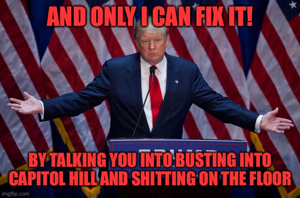 Donald Trump | AND ONLY I CAN FIX IT! BY TALKING YOU INTO BUSTING INTO CAPITOL HILL AND SHITTING ON THE FLOOR | image tagged in donald trump | made w/ Imgflip meme maker