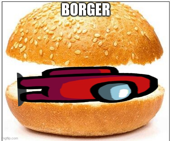 Nothing burger | BORGER | image tagged in nothing burger | made w/ Imgflip meme maker