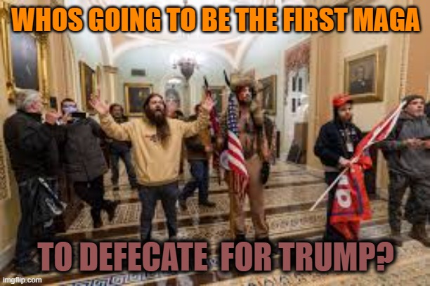 Capitol riot | WHOS GOING TO BE THE FIRST MAGA TO DEFECATE  FOR TRUMP? | image tagged in capitol riot | made w/ Imgflip meme maker