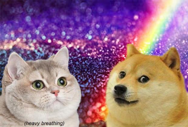 heavy breath cat doge Blank Meme Template