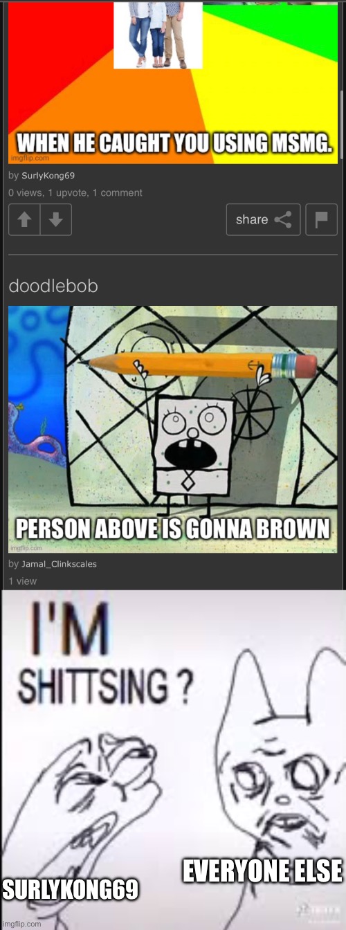 SURLYKONG69; EVERYONE ELSE | made w/ Imgflip meme maker