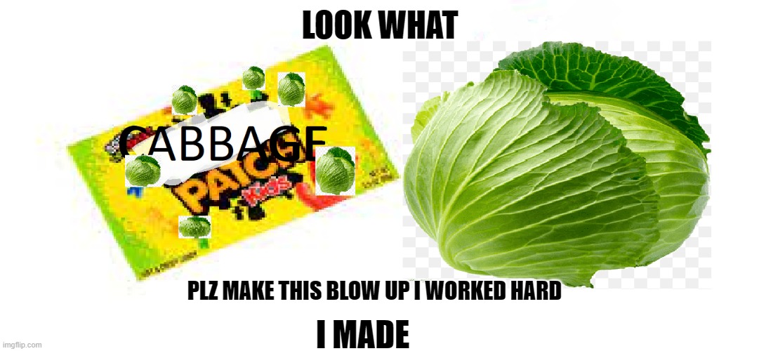 CABBAGE PATCH KIDS | LOOK WHAT; I MADE; PLZ MAKE THIS BLOW UP I WORKED HARD | image tagged in memes | made w/ Imgflip meme maker