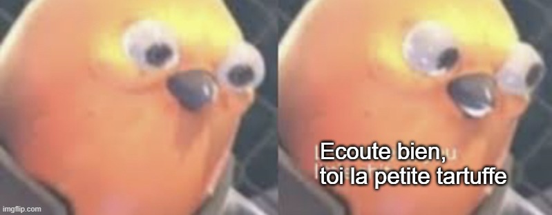L'oiseau est poli, amusez vous bien | Ecoute bien, toi la petite tartuffe | image tagged in listen here you little shit bird | made w/ Imgflip meme maker