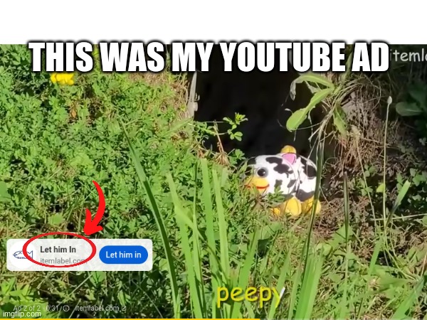 Excuse me, what the actual freak | THIS WAS MY YOUTUBE AD | image tagged in wait what | made w/ Imgflip meme maker