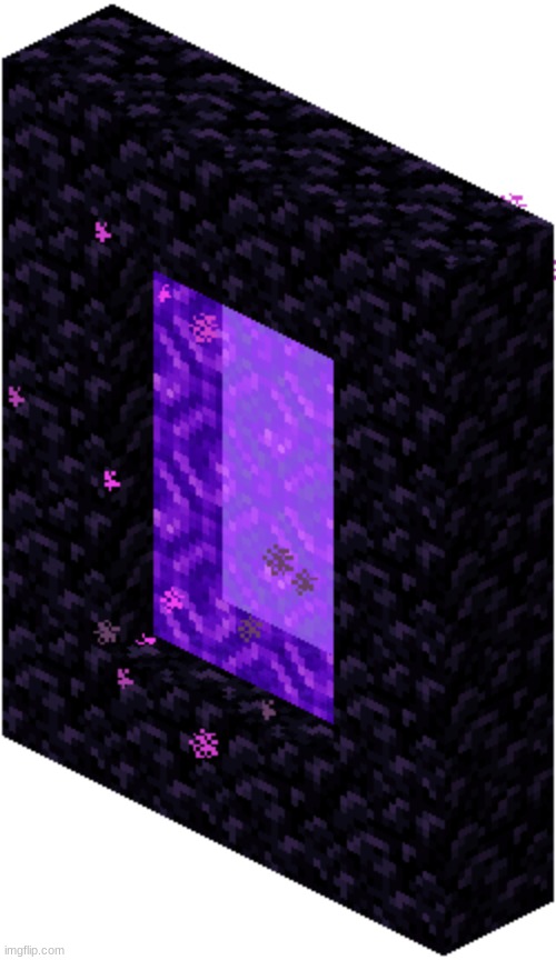 nether portal | image tagged in nether portal | made w/ Imgflip meme maker