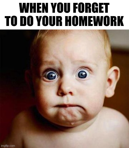 Homework | WHEN YOU FORGET TO DO YOUR HOMEWORK | image tagged in scared baby | made w/ Imgflip meme maker