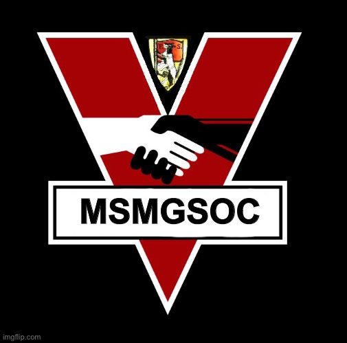 New msmg flag concept based off old msmgsoc flag | MSMGSOC | image tagged in ingsoc | made w/ Imgflip meme maker