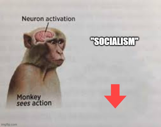 Neuron activation | "SOCIALISM" | image tagged in neuron activation | made w/ Imgflip meme maker