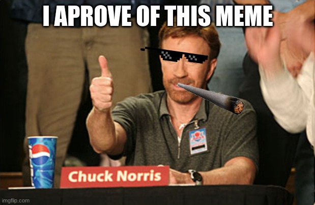 Chuck Norris Approves Meme | I APROVE OF THIS MEME | image tagged in memes,chuck norris approves,chuck norris | made w/ Imgflip meme maker