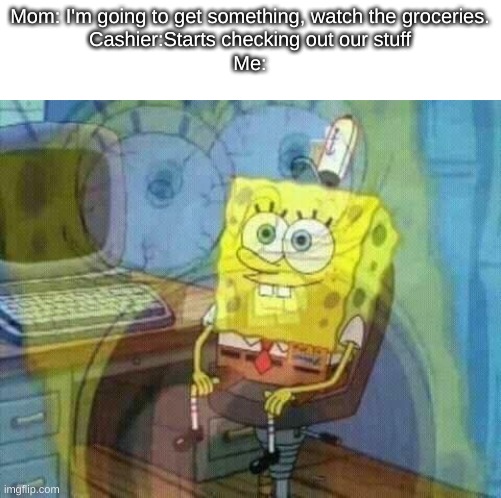 Please! I don't have any money! | Mom: I'm going to get something, watch the groceries.
Cashier:Starts checking out our stuff
Me: | image tagged in spongebob panic inside | made w/ Imgflip meme maker