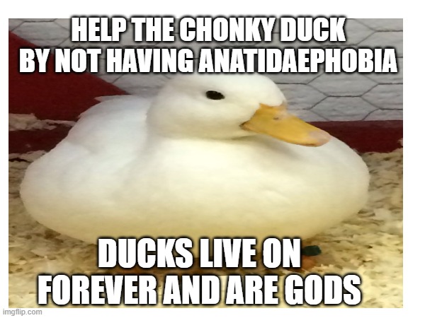 P.S It Is Also A Weird Fear | HELP THE CHONKY DUCK BY NOT HAVING ANATIDAEPHOBIA; DUCKS LIVE ON FOREVER AND ARE GODS | made w/ Imgflip meme maker