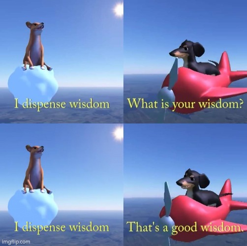 I dispense wisdom | image tagged in wisdom dog | made w/ Imgflip meme maker