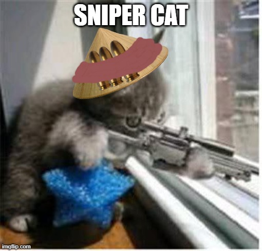 cats with guns | SNIPER CAT | image tagged in cats with guns | made w/ Imgflip meme maker