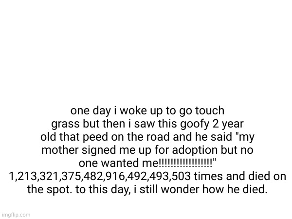 The Most RANDOM Story On ImgFlip! | one day i woke up to go touch grass but then i saw this goofy 2 year old that peed on the road and he said "my mother signed me up for adoption but no one wanted me!!!!!!!!!!!!!!!!!!" 1,213,321,375,482,916,492,493,503 times and died on the spot. to this day, i still wonder how he died. | image tagged in true story,inspirational quotes | made w/ Imgflip meme maker