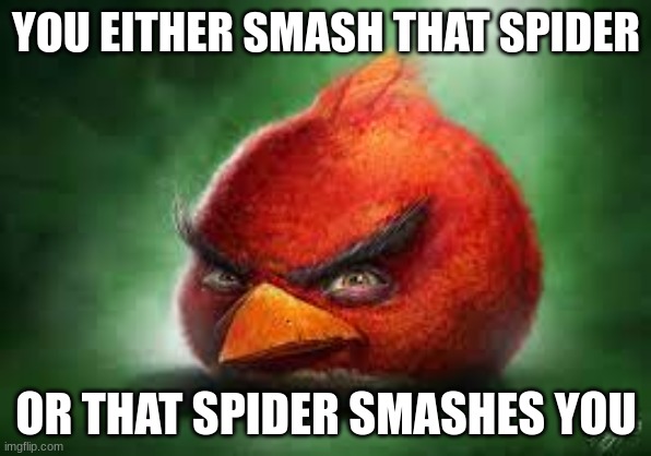 smash that spider or else | YOU EITHER SMASH THAT SPIDER; OR THAT SPIDER SMASHES YOU | image tagged in realistic red angry birds | made w/ Imgflip meme maker