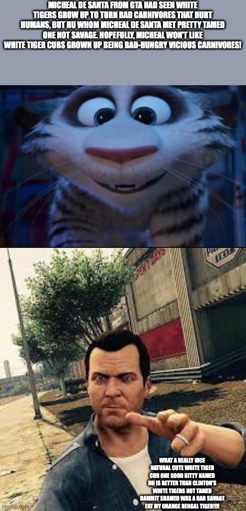 MICHEAL DE SANTA FROM GTA HAD SEEN WHITE TIGERS GROW UP TO TURN BAD CARNIVORES THAT HURT HUMANS, BUT HU WHOM MICHEAL DE SANTA MET PRETTY TAMED ONE NOT SAVAGE. HOPEFULLY, MICHEAL WON'T LIKE WHITE TIGER CUBS GROWN UP BEING BAD-HUNGRY VICIOUS CARNIVORES! WHAT A REALLY NICE NATURAL CUTE WHITE TIGER CUB ONE GOOD KITTY NAMED HU IS BETTER THAN CLINTON'S WHITE TIGERS NOT TAMED DAMMIT SHAMED WAS A BAD SAVAGE EAT MY ORANGE BENGAL TIGER!!!! | image tagged in memes | made w/ Imgflip meme maker