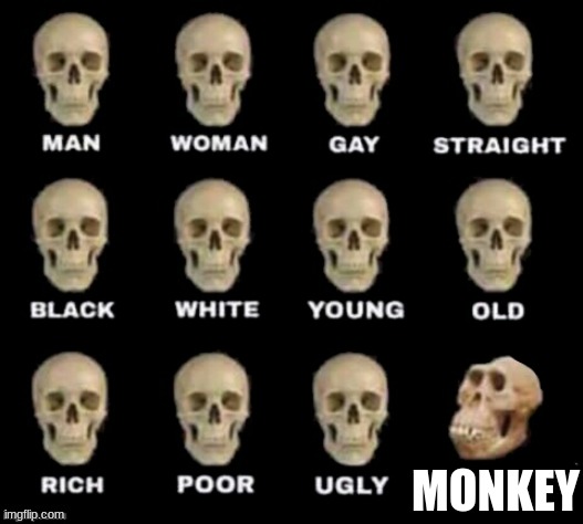idiot skull | MONKEY | image tagged in idiot skull | made w/ Imgflip meme maker