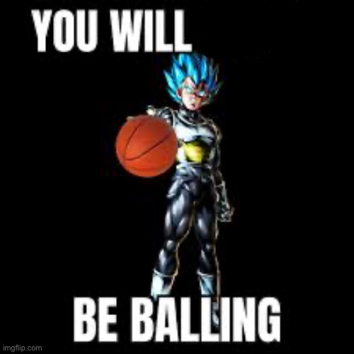 You will never be ballin | image tagged in you will never be ballin | made w/ Imgflip meme maker