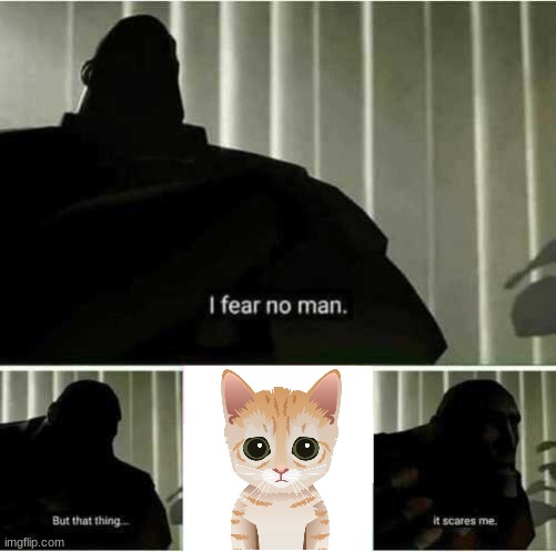 The Chess bot of DOOM | image tagged in i fear no man,mittens,help,chess | made w/ Imgflip meme maker