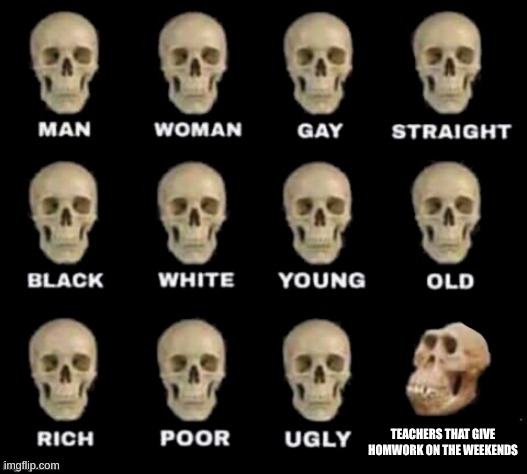 idiot skull | TEACHERS THAT GIVE HOMWORK ON THE WEEKENDS | image tagged in idiot skull | made w/ Imgflip meme maker
