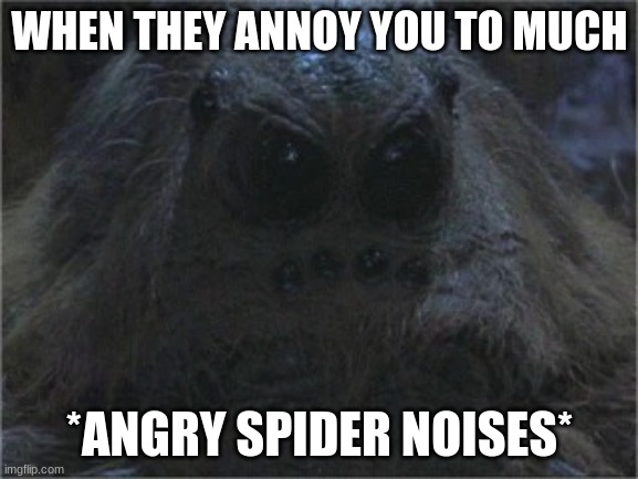  WHEN THEY ANNOY YOU TO MUCH; *ANGRY SPIDER NOISES* | image tagged in spider stare | made w/ Imgflip meme maker