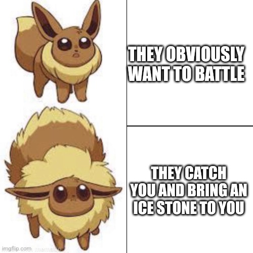 Seeing a trainer in the wild | THEY OBVIOUSLY WANT TO BATTLE; THEY CATCH YOU AND BRING AN ICE STONE TO YOU | image tagged in eevee | made w/ Imgflip meme maker